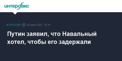 Путин заявил, что Навальный хотел, чтобы его задержали