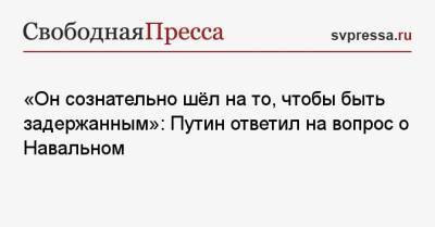 «Он сознательно шёл на то, чтобы быть задержанным»: Путин ответил на вопрос о Навальном