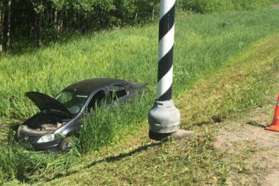Водитель Renault сбил лося на трассе в Великом Новгороде