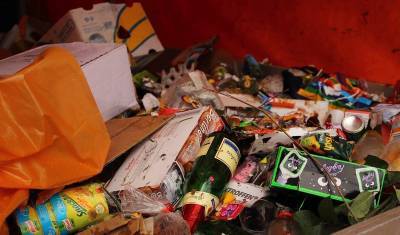 Буцаев: РОП - единственный способ избежать мусорного апокалипсиса