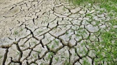 17 июня - День борьбы с опустыниванием и засухой