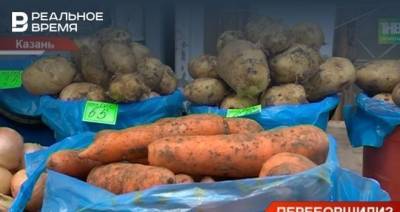 В Татарстане подорожали овощи — видео
