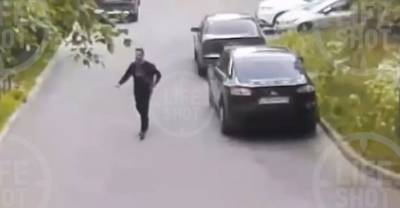 В Петербурге мужчина во дворе угрожал порезать ножом собак соседей