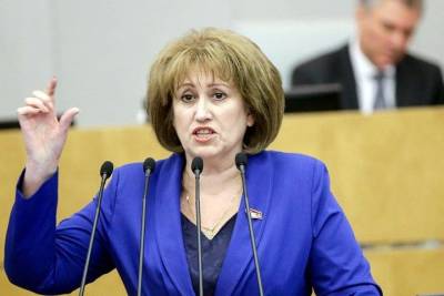 Новосибирский депутат Госдумы обвинила исполнительную власть в давлении и провоцировании конфликтов