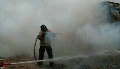 Более 50 лесных пожаров потушили в Ленобласти с начала сезона