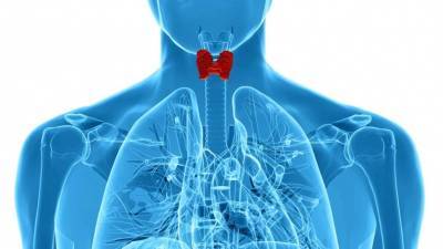 К каким смертельным осложнениям могут привести заболевания щитовидной железы?