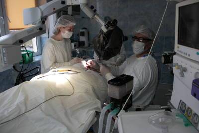 Как новые высокотехнологичные операции в Гродненской университетской клинике работают на предупреждение инсульта