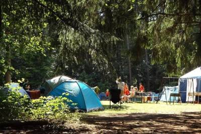 Жители Карелии могут получить компенсации за путевки в летние лагеря