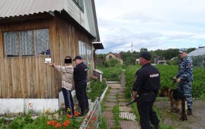 В Ульяновской области полицейские раскрыли серию краж из дачных домов