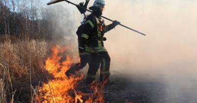 Пожар повышенной опасности в Кулдигском крае: горели бревна и лес