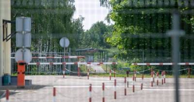 В Литве задумались о заборе на границе с Беларусью из-за наплыва нелегалов
