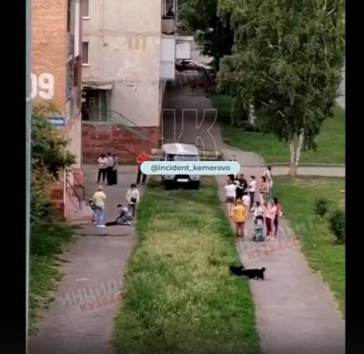 Житель Кемерово выбросил двух собак из окна пятого этажа жилого дома