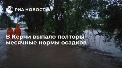 Полторы месячные нормы осадков выпало в результате сильных ливней на востоке Крыма