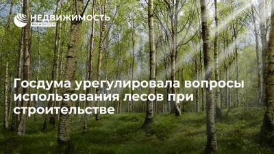 Госдума урегулировала вопросы использования лесов при строительстве