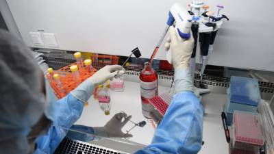 В «Векторе» сообщили, сколько сохраняются антитела у привитых «ЭпиВакКороной»