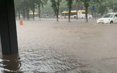 Повалены деревья и затоплены улицы: в Мариуполе потоп