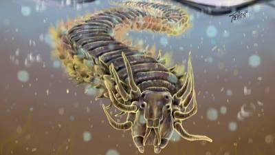 Секреты регенерации: как механизм восстановления тканей у морских червей поможет медицине