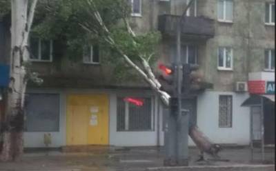 Мариуполь затопило, сильный ветер повалил деревья