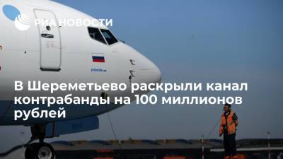 Таможенники в аэропорту Шереметьево пресекли контрабанду драгоценностей на 100 миллионов рублей