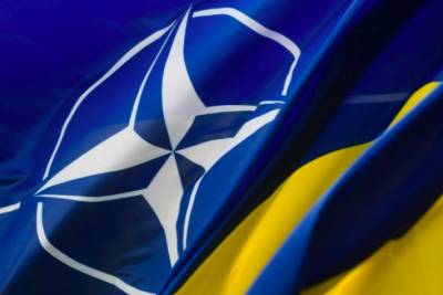 Кабмин утвердил спецплан по вступлению Украины в НАТО