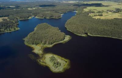 В озере Долгое Браславского района обнаружен труп женщины