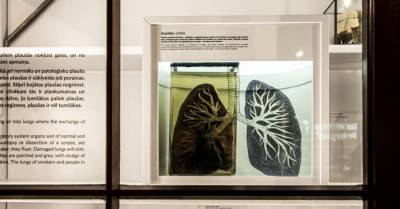 Коллекция Анатомикума впервые за сто лет открылась для всех