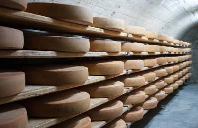 Остановился рост импорта сыра в Украину