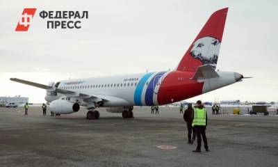 Лайнер компании «Ямал» сняли с полетов после столкновения с птицей