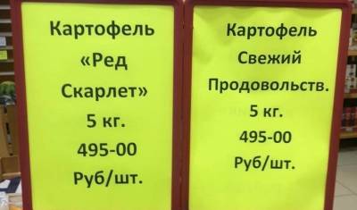 Тюменские аграрии продают картошку на 75 рублей и ждут свежий урожай через месяц