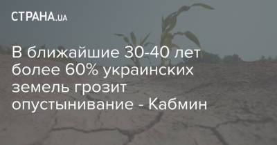 В ближайшие 30-40 лет более 60% украинских земель грозит опустынивание - Кабмин