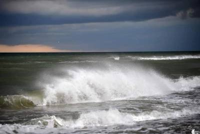 В Одессе зацвело море, купаться опасно