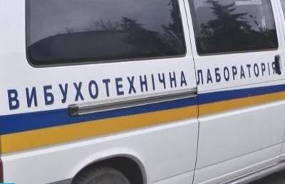 Информацию о минировании самолета в аэропорту Борисполь получила полиция Киева