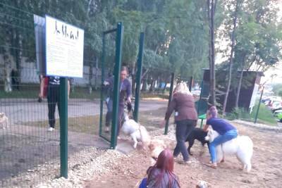 Первая площадка для выгула собак в Тамбове пользуется популярностью