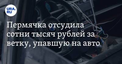 Пермячка отсудила сотни тысяч рублей за ветку, упавшую на авто