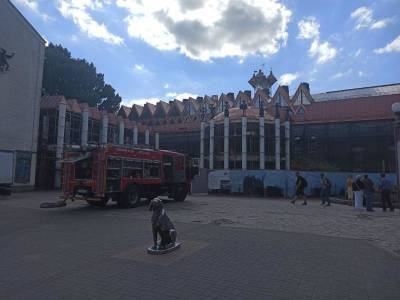 Пожар в Воронежском кукольном театре оказался ложным