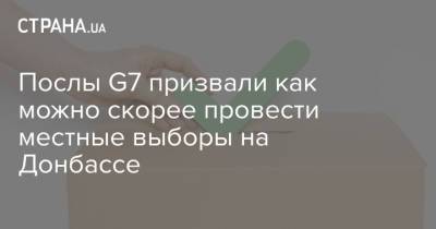 Послы G7 призвали как можно скорее провести местные выборы на Донбассе