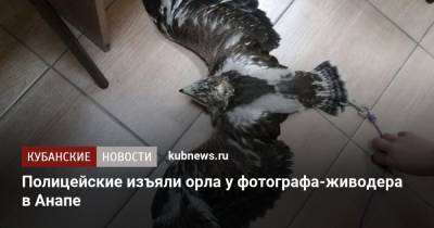 Полицейские изъяли орла у фотографа-живодера в Анапе
