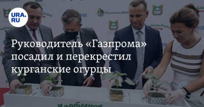 Руководитель «Газпрома» посадил и перекрестил курганские огурцы. Видео, фото