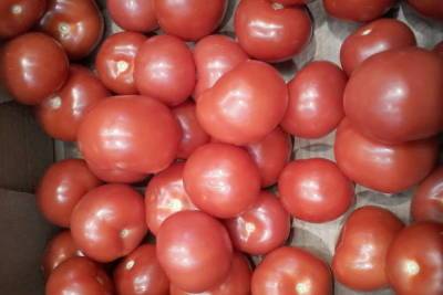 Валерий Радаев объяснил, почему саратовцам приходится есть пластмассовые помидоры и огурцы