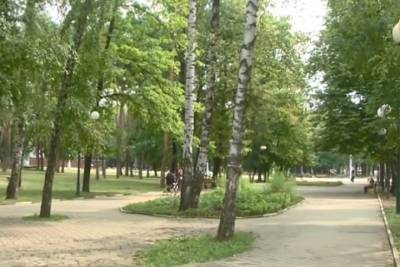 Мэр Белгорода хотел бы переделать Центральный парк для мам с детьми и пенсионеров