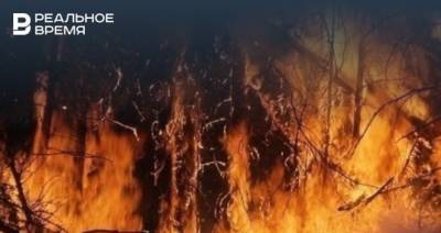 В Татарстане вновь продлили штормовое предупреждение из-за высокой пожароопасности лесов
