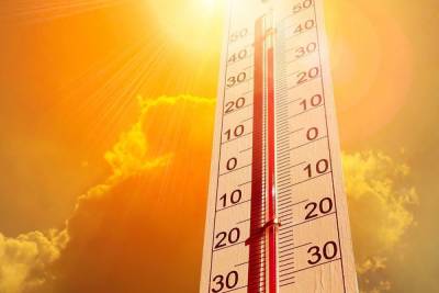 На Новгородскую область надвигается аномальная жара
