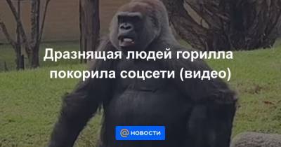 Дразнящая людей горилла покорила соцсети (видео)