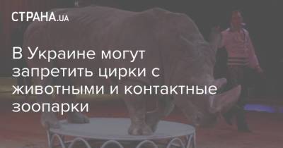 В Украине могут запретить цирки с животными и контактные зоопарки