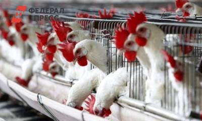 Областной суд разрешил проблему Среднеуральской птицефабрики