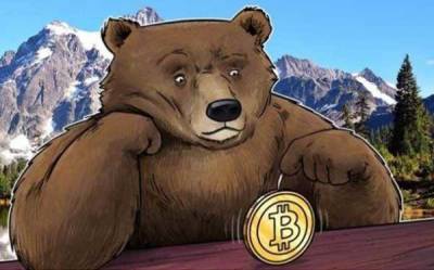 Как себя вести на медвежьем рынке биткоина? - cryptowiki.ru