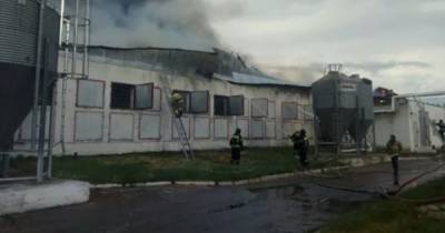 Здание птицефабрики загорелось на 4 тыс. "квадратах" под Челябинском