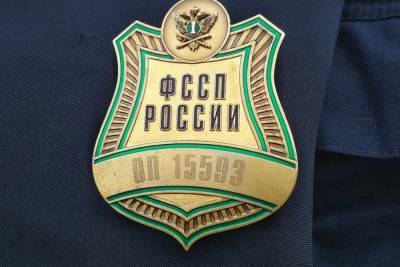 Приставы добились от жительницы Новомосковска выплаты уголовного штрафа в 200 тысяч рублей