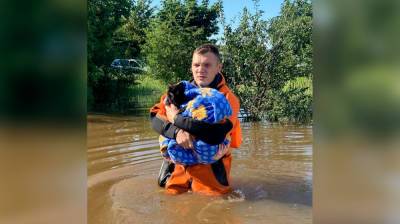 Воронежские спасатели эвакуировали кота из затопленного дома