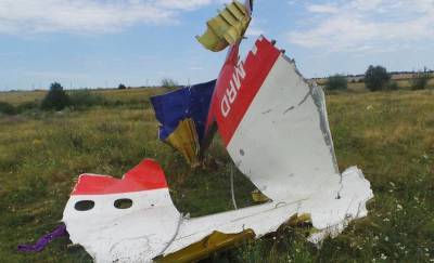 Нидерланды не нашли украинских истребителей в небе над Донбассом во время крушения MH17